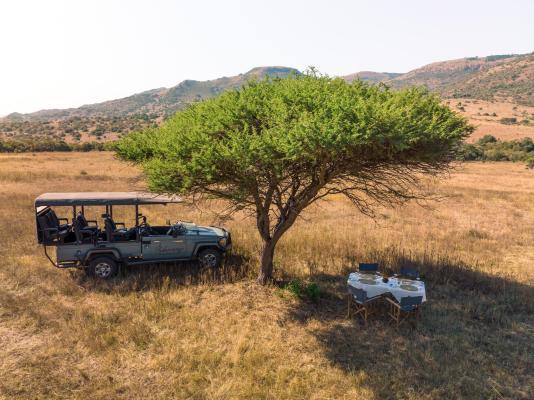 Babanango Game Reserve - Zulu Rock Lodge - 193952