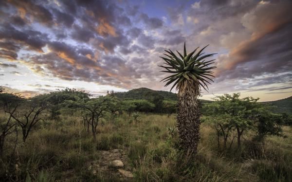 Babanango Game Reserve - Zulu Rock Lodge - 193964