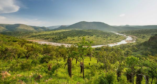 Babanango Game Reserve - Zulu Rock Lodge - 193965