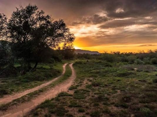 Bhejane Game Reserve - 194050