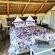 Bhejane Game Reserve - 194065