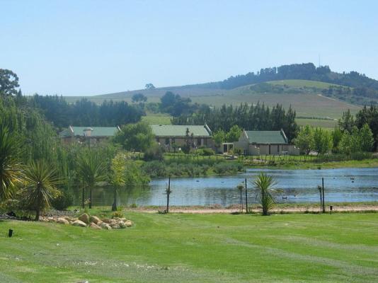 Skilpadvlei Wine Stellenbosch - 194408