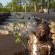 Bushveld Bivouac - 194632 Bushveld Bivouac - 194632