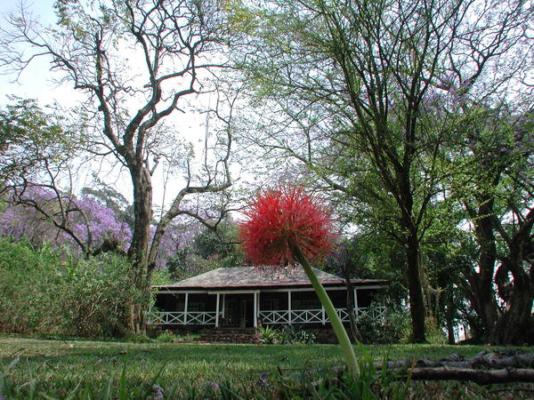 Reilly's Rock Hilltop Lodge - 195334