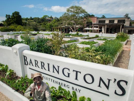 Barrington's - 195409