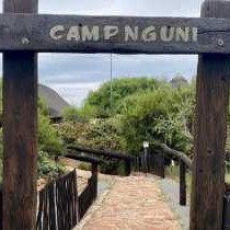 Camp Nguni - 195601