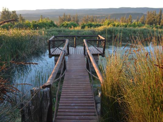 Addo Dung Beetle Guest Farm - 195683