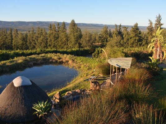 Addo Dung Beetle Guest Farm - 195686