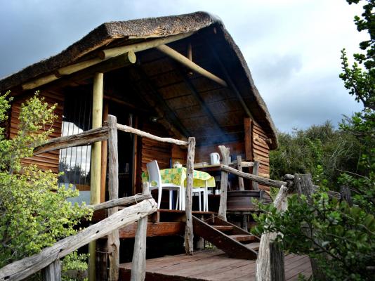 Addo Dung Beetle Guest Farm - 195689