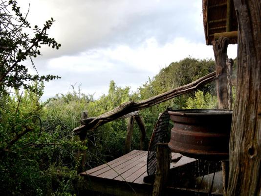 Addo Dung Beetle Guest Farm - 195694