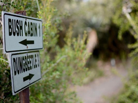 Addo Dung Beetle Guest Farm - 195712