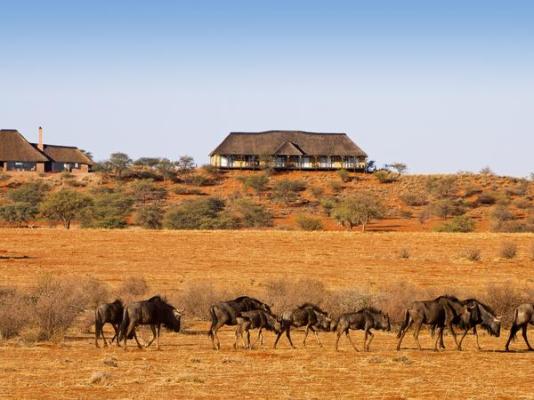 Auob Country Lodge - 195807