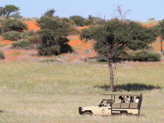 Camelthorn Kalahari Lodge - 195885