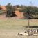 Camelthorn Kalahari Lodge - 195885