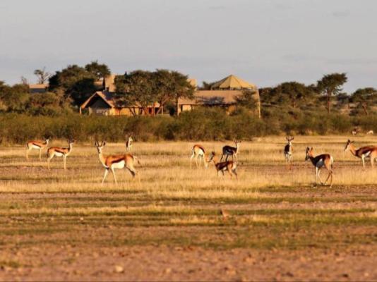 Suricate Kalahari Tented Lodge - 195911