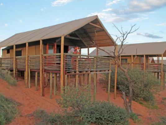 Suricate Kalahari Tented Lodge - 195912