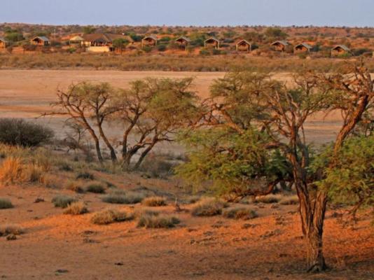 Suricate Kalahari Tented Lodge - 195913