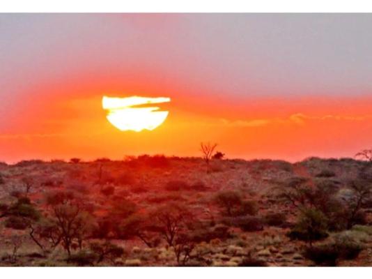 Suricate Kalahari Tented Lodge - 195915