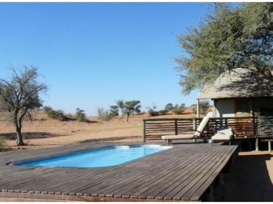 Suricate Kalahari Tented Lodge - 195916