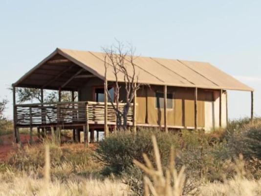 Suricate Kalahari Tented Lodge - 195917