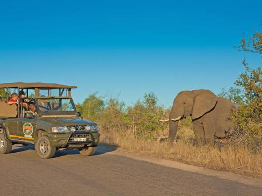 Kruger Adventure Lodge - 196360