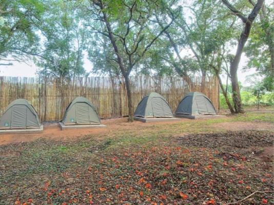 Kruger Adventure Lodge - 196391