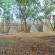 Kruger Adventure Lodge - 196391 Kruger Adventure Lodge - 196391
