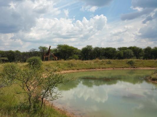 Grootgeluk Bush Camp - 196679