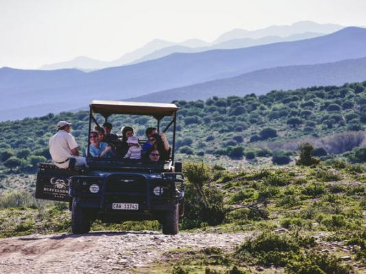 Buffelsdrift Game Lodge - 197362