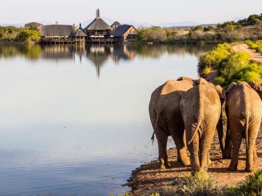 Buffelsdrift Game Lodge - 197365