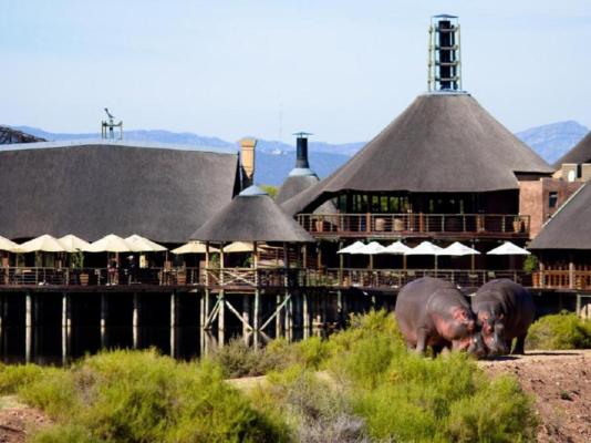 Buffelsdrift Game Lodge - 197373