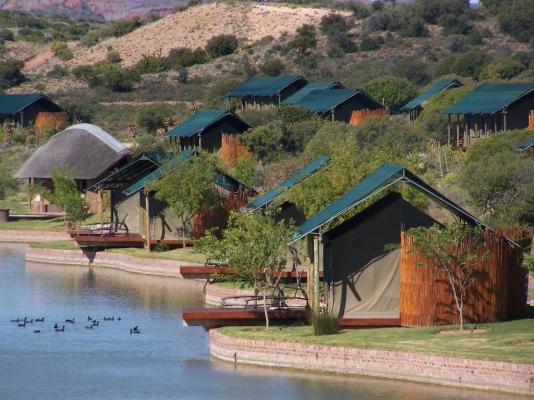 Buffelsdrift Game Lodge - 197376