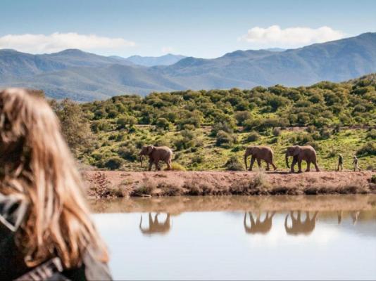 Buffelsdrift Game Lodge - 197383