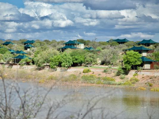 Buffelsdrift Game Lodge - 197384