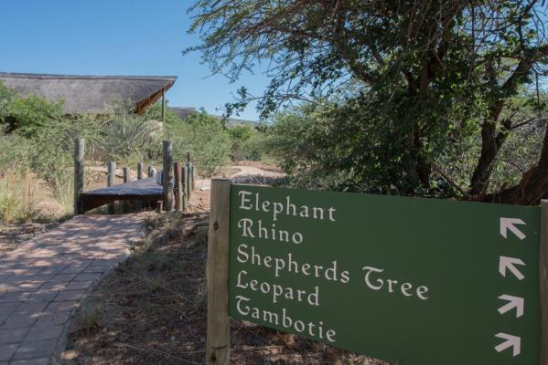 Pilanesberg Private Lodge - 197415