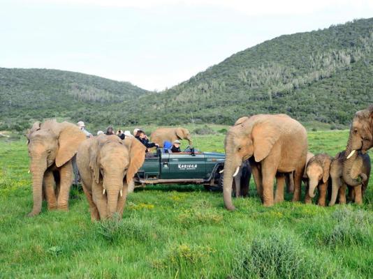 Kariega Game Reserve - 197420