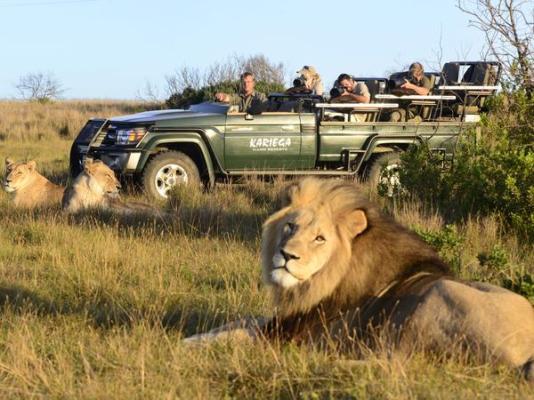 Kariega Game Reserve - 197423