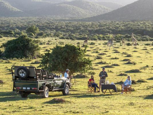 Kariega Game Reserve - 197440