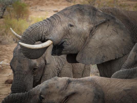 Sanbona Wildlife Reserve - 197507