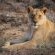 Sanbona Wildlife Reserve - 197513