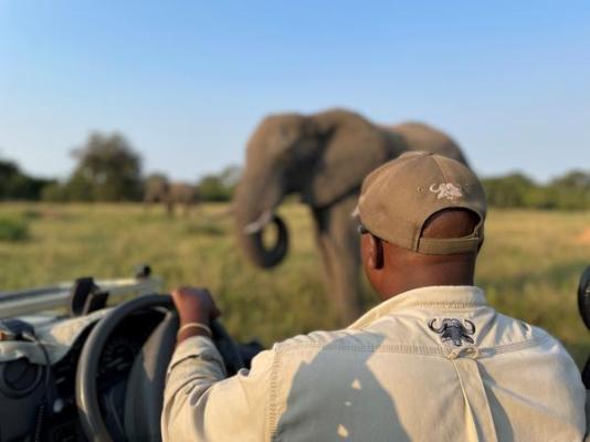 Inyati Game Lodge - 198140