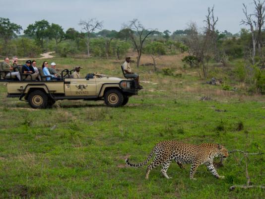 Inyati Game Lodge - 198158