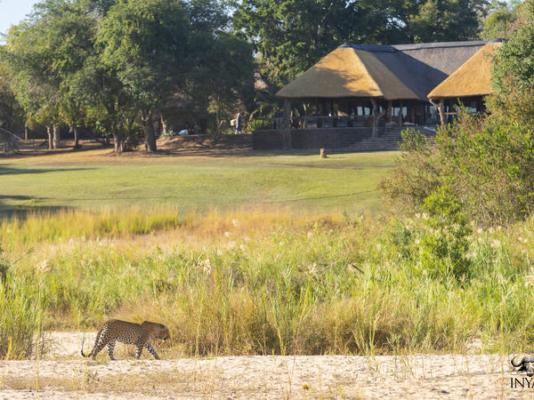 Inyati Game Lodge - 198164