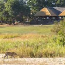 Inyati Game Lodge - 198164