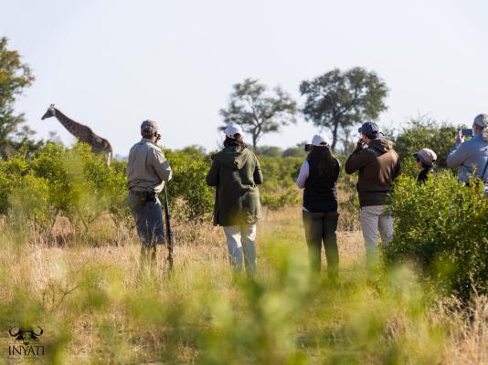 Inyati Game Lodge, Sabi Sand Nature Reserve