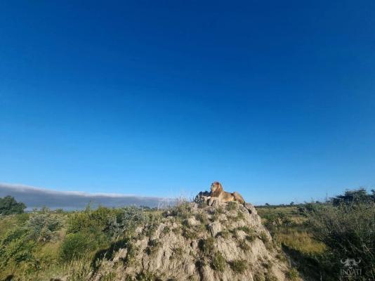 Inyati Game Lodge, Sabi Sand Nature Reserve
