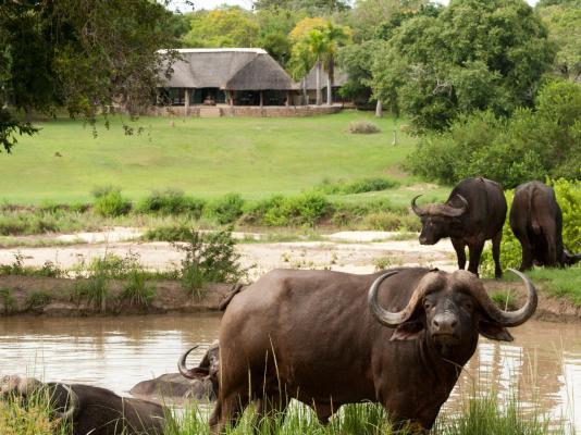 Inyati Game Lodge - 198179