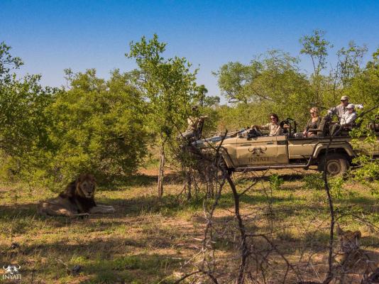 Inyati Game Lodge, Sabi Sand Nature Reserve