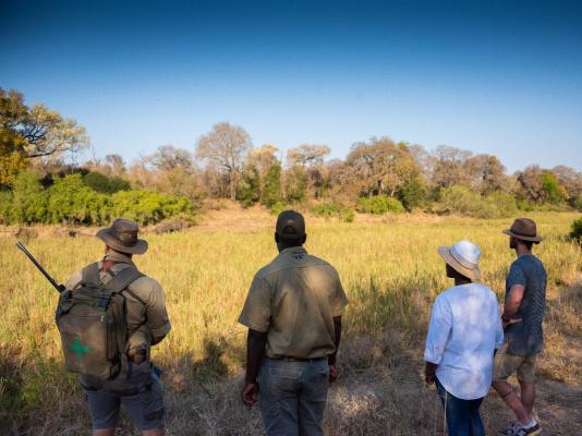 Inyati Game Lodge - 198186