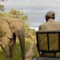 Kwa Mbili Game Lodge - 199009